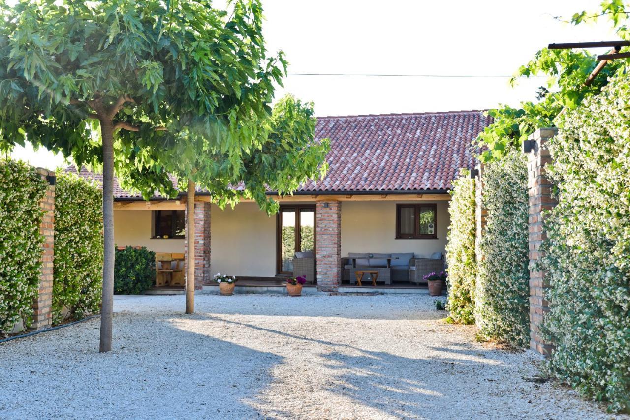 Villa Navita Augustinus With Pool Debeljak Exterior photo