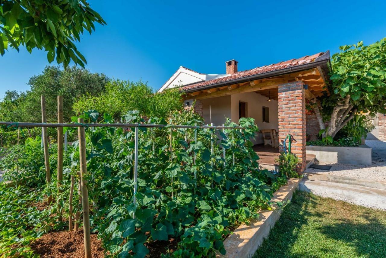 Villa Navita Augustinus With Pool Debeljak Exterior photo